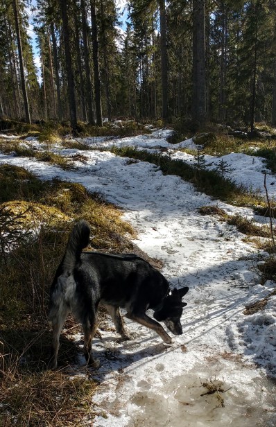 IMG_20170328_154011475