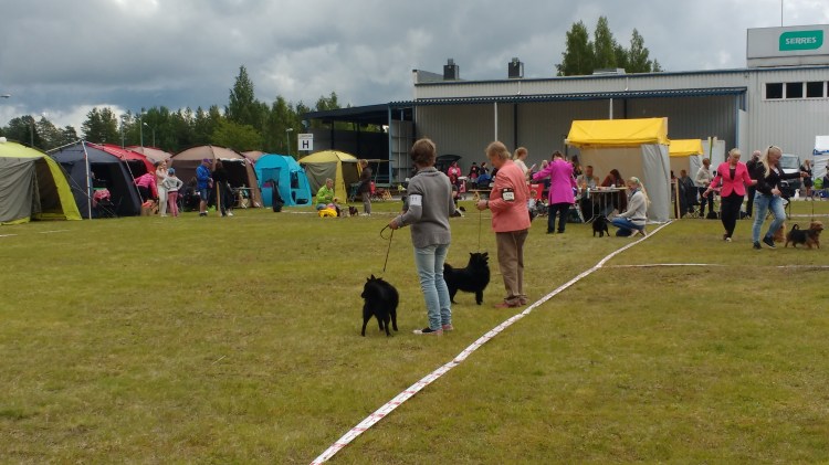 schipperket