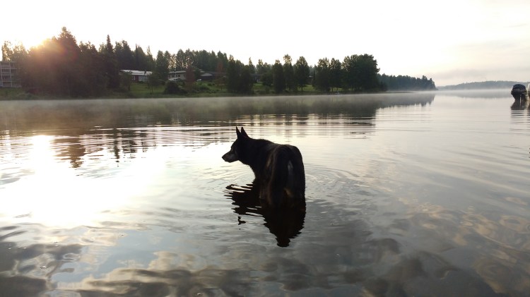 IMG_20170822_065304903