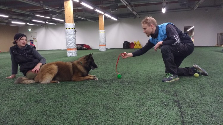 IMG_20171021_113024387