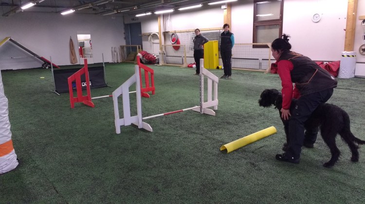 IMG_20180304_111133554