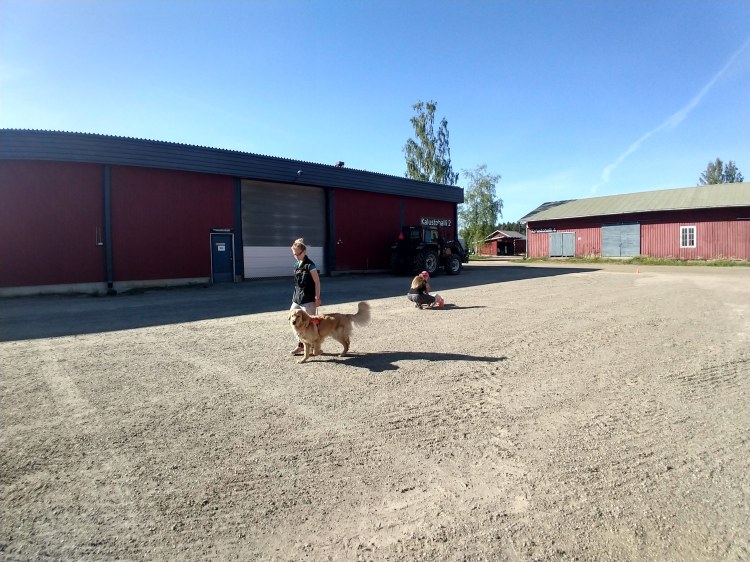 IMG_20180531_173834114_HDR