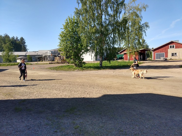 IMG_20180531_174616300_HDR