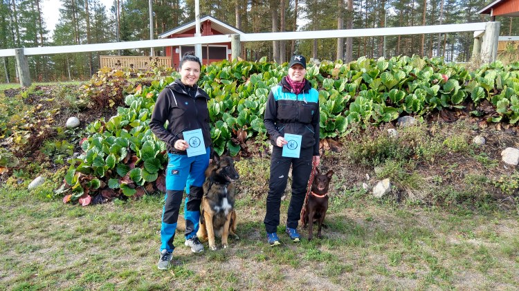 IMG_20180916_112447704_HDR